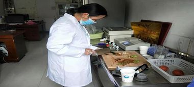 城北街道筑牢農(nóng)產(chǎn)品質量安全防線 檢驗檢測服務提質增效